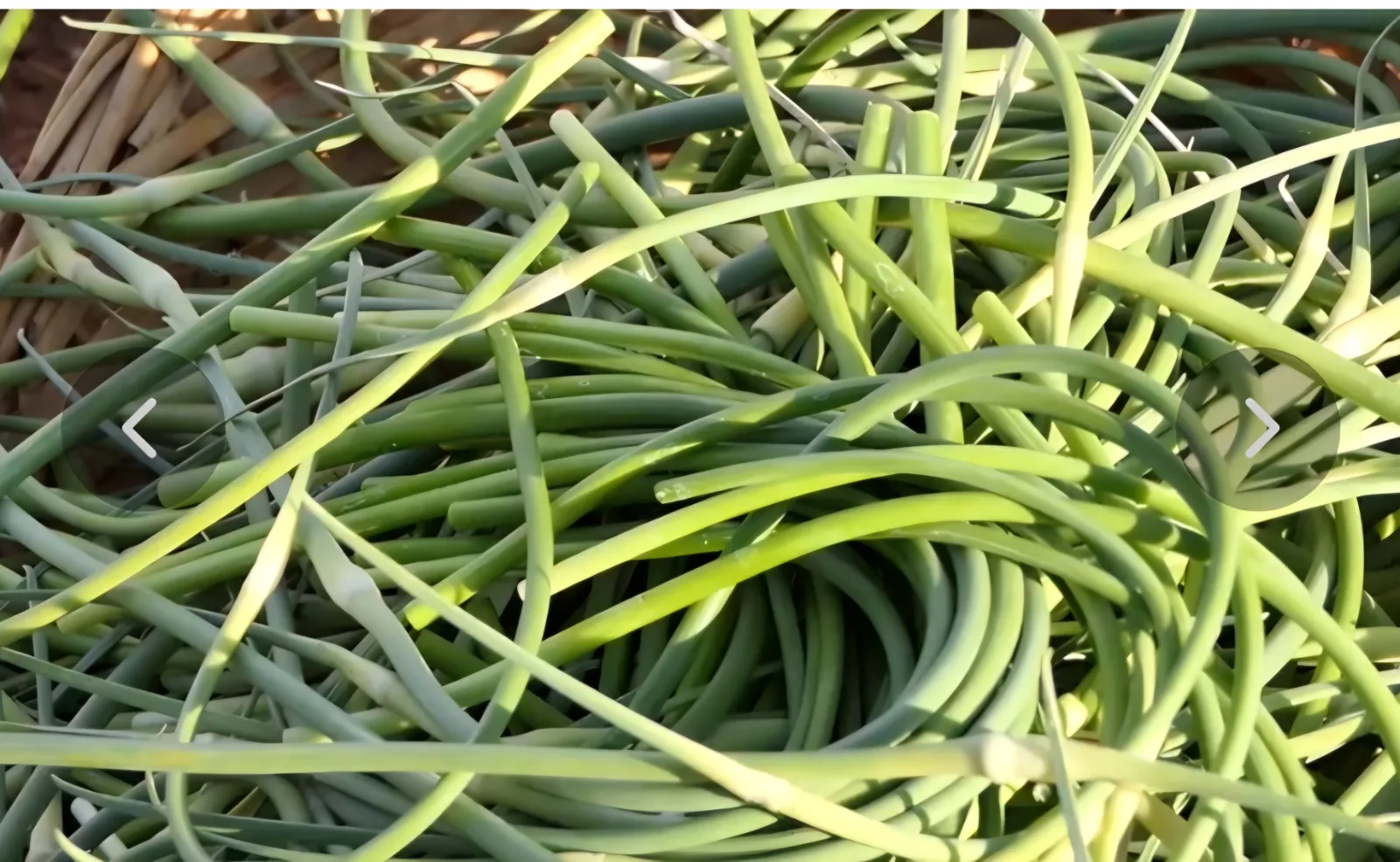 Paski / peski česna