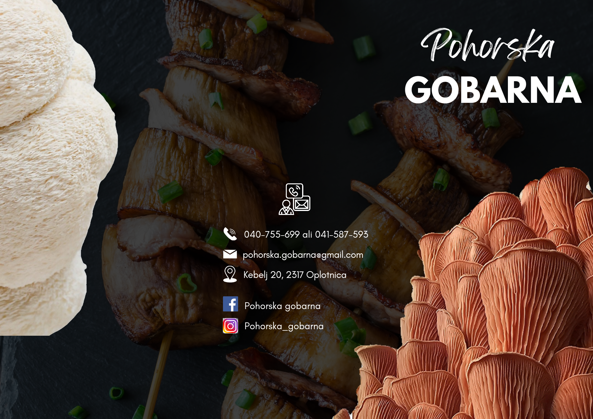 Pohorska gobarna