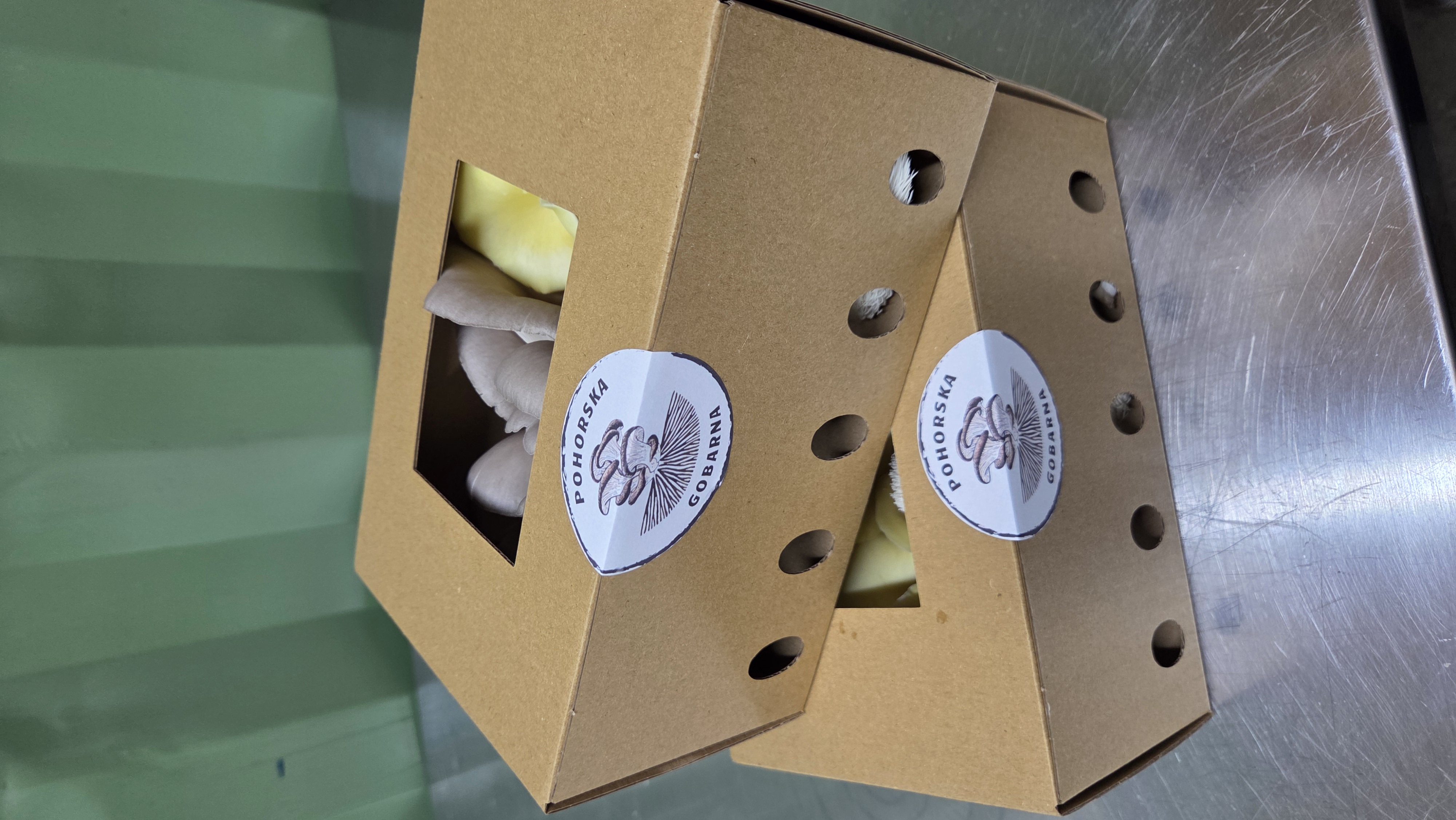 Slika uporabnika $Pohorska gobarna